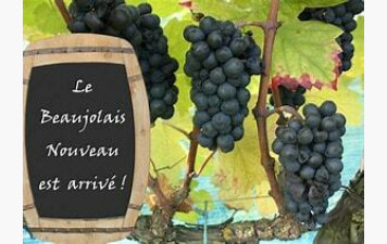 Festif / Soirée Beaujolais